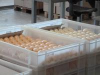 Parfumerie in Éze &ndash; &copy; Vicky Kern (Eberhardt TRAVEL)