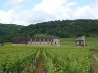 Tag 3 - 4 - Besuch des Weinguts Clos de Vougeot (7)