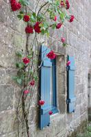 IMG_1027_Locronan