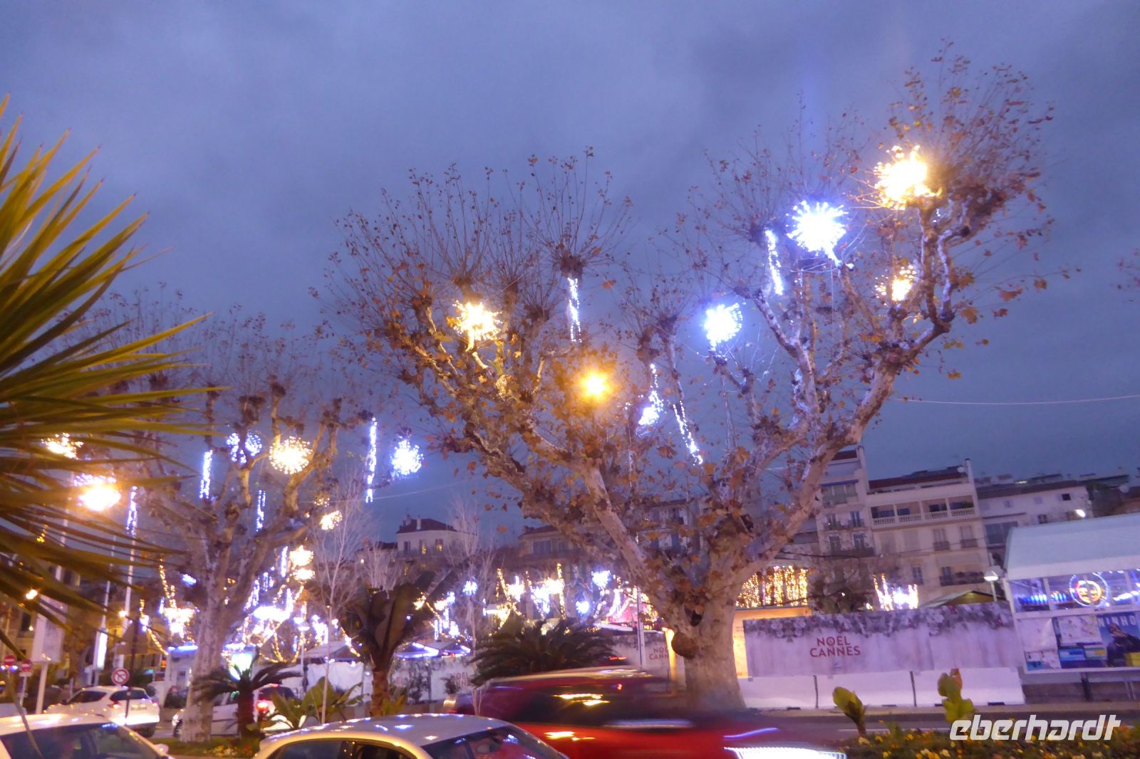 Tag 5 Silvesterreise , Cannes Weihnachtsbeleuchtung &ndash; &copy; Gabriele Sauer (Eberhardt TRAVEL)