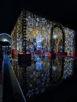 Tag 2 Weihnachtsdekoration in Nizza &ndash; &copy; Gabriele Sauer (Eberhardt TRAVEL)