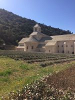 Provence Senanque