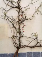 Paris Petit  Tag 4 Streetart &ndash; &copy; Gabriele Sauer (Eberhardt TRAVEL)