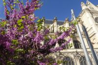 Paris Petit Tag 3  &ndash; &copy; Gabriele Sauer (Eberhardt TRAVEL)