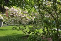 Paris Petit Tag 5  Jardin de Luxembourg   &ndash; &copy; Gabriele Sauer (Eberhardt TRAVEL)