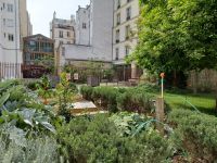 Mietergarten &ndash; &copy; Ute Solf (Eberhardt TRAVEL)