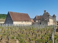 Château Clos de Vougeot &ndash; &copy; Sinah Witzig (Eberhardt TRAVEL)