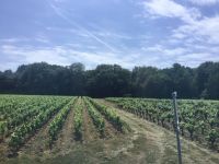 Muscadet! &ndash; &copy; Roswitha Zytowski (Eberhardt TRAVEL)