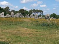 Alignement bei Carnac &ndash; &copy; Dr. Michael Krause (Eberhardt TRAVEL)