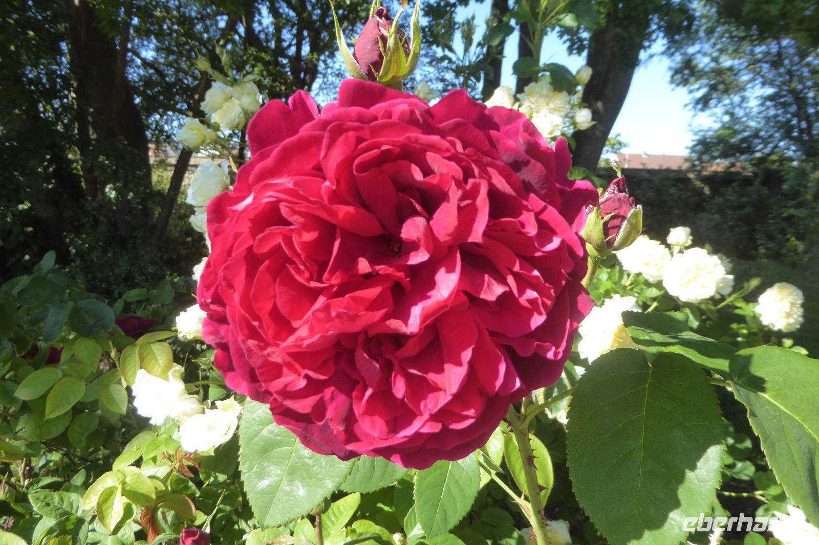 Tag 4 Jardin Suspendus, Le Havre &ndash; &copy; Gabriele Sauer (Eberhardt TRAVEL)