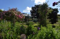 Tag 3 30.05.2022 Monet Garten in Giverny (29) &ndash; &copy; Gabriele Sauer (Eberhardt TRAVEL)