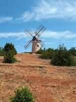 Frankreich - Rundreise Okzitanien: Die alte Mühle von La Couvertoirade &ndash; &copy; Ekkehard Villing (Eberhardt TRAVEL)