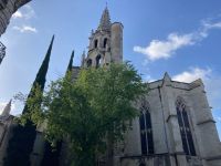Avignon &ndash; &copy; Roswitha Zytowski (Eberhardt TRAVEL)
