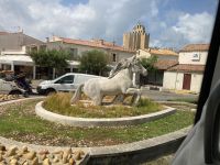eines der Symbole der Camargue  &ndash; &copy; Roswitha Zytowski (Eberhardt TRAVEL)