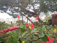 Monaco &ndash; &copy; Barbara Mihut (Eberhardt TRAVEL)