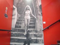 Foto Brigitte Bardot &ndash; &copy; Barbara Mihut (Eberhardt TRAVEL)