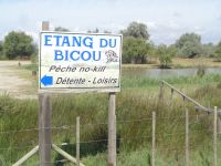 Camargue &ndash; &copy; Barbara Mihut (Eberhardt TRAVEL)