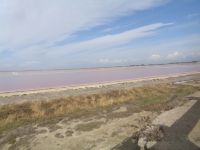 Salin de Giraud &ndash; &copy; Barbara Mihut (Eberhardt TRAVEL)