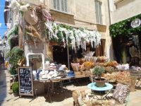 Avignon &ndash; &copy; Barbara Mihut (Eberhardt TRAVEL)