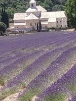 Abtei Sénanque &ndash; &copy; Barbara Mihut (Eberhardt TRAVEL)