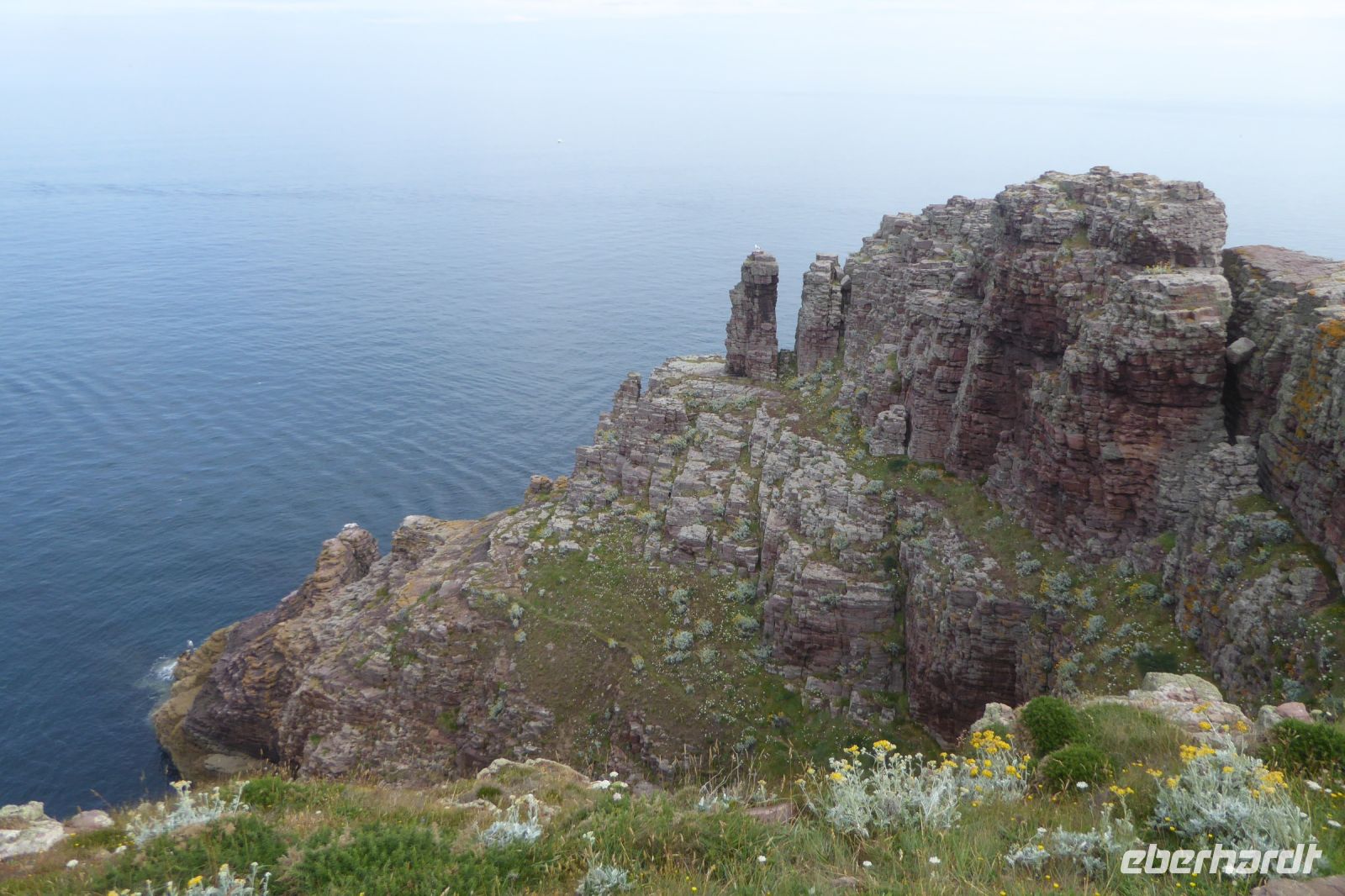 Tag 6 23.06.2022 Cap Fréhel &ndash; &copy; Gabriele Sauer (Eberhardt TRAVEL)