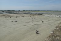 Tag 4 21.06.2022 Wattwanderungen am Mont St. Michel &ndash; &copy; Gabriele Sauer (Eberhardt TRAVEL)