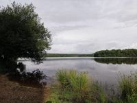 Tag 8 25.06.2022 Paimpont  &ndash; &copy; Gabriele Sauer (Eberhardt TRAVEL)