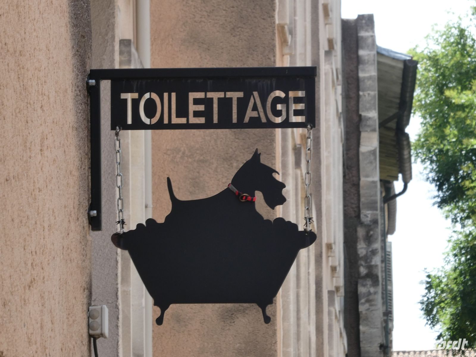 Hundefrisör &ndash; &copy; Gina Egenolf (Eberhardt TRAVEL)