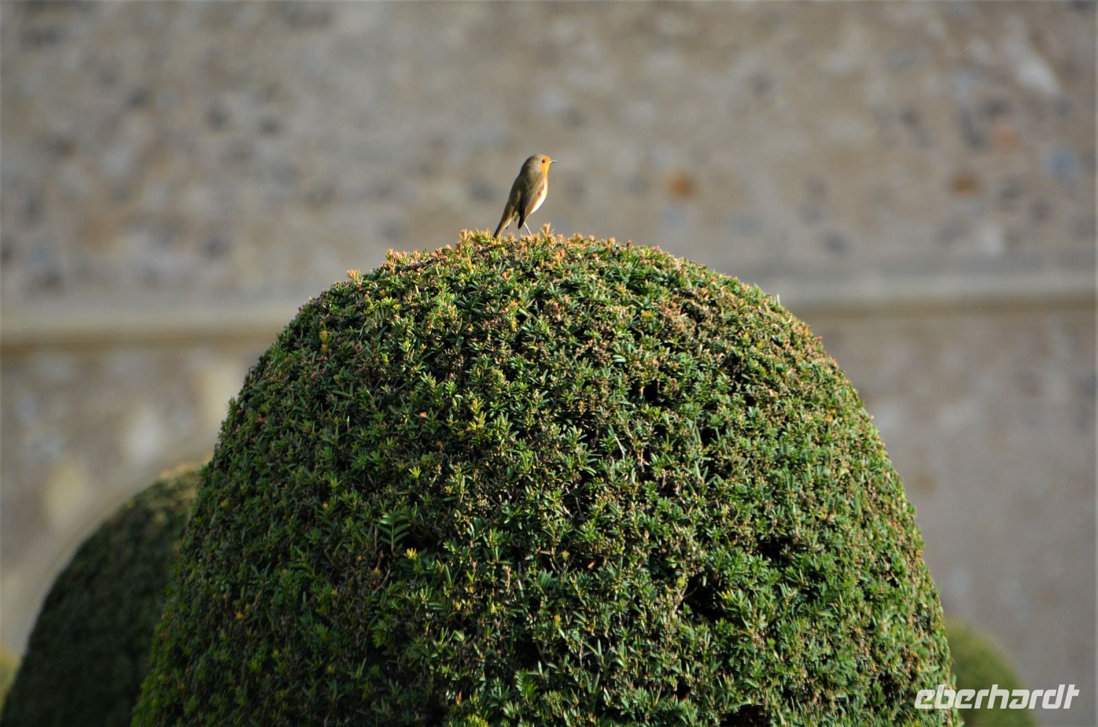 ohne Worte &ndash; &copy; Gina Egenolf (Eberhardt TRAVEL)