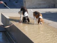 Trinken ist wichtig &ndash; &copy; Gina Egenolf (Eberhardt TRAVEL)