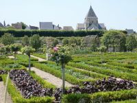 Gemüse und Blumen &ndash; &copy; Gina Egenolf (Eberhardt TRAVEL)