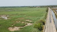 Petite Camargue &ndash; &copy; Alexandre de Bordelius (Eberhardt TRAVEL)