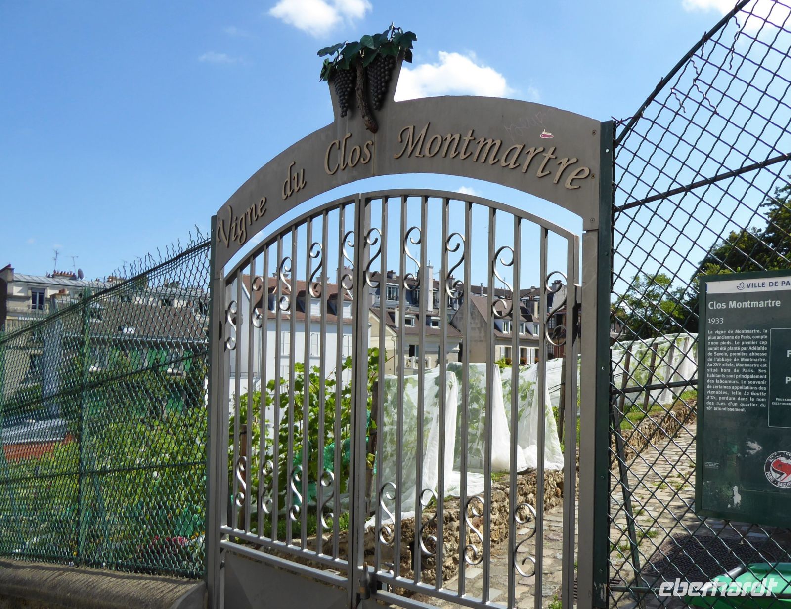 Paris Petit Tag 5 27.07.2022 Weinberg am Montmartre &ndash; &copy; Gabriele Sauer (Eberhardt TRAVEL)