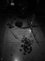 Grace Kelly's Grab in Monaco  &ndash; &copy; Sandra Rößle (Eberhardt TRAVEL)