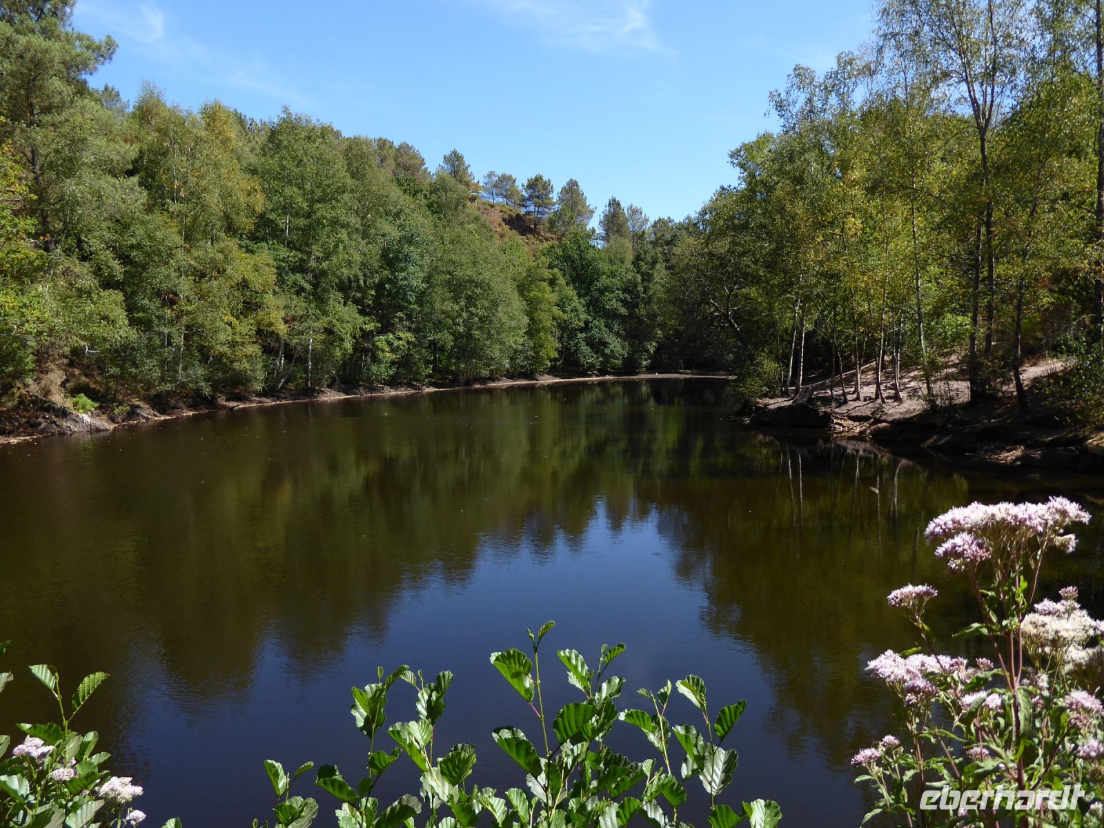 Tag 3 08.08.2022 Wanderung im Wald von Brocéliande &ndash; &copy; Gabriele Sauer (Eberhardt TRAVEL)