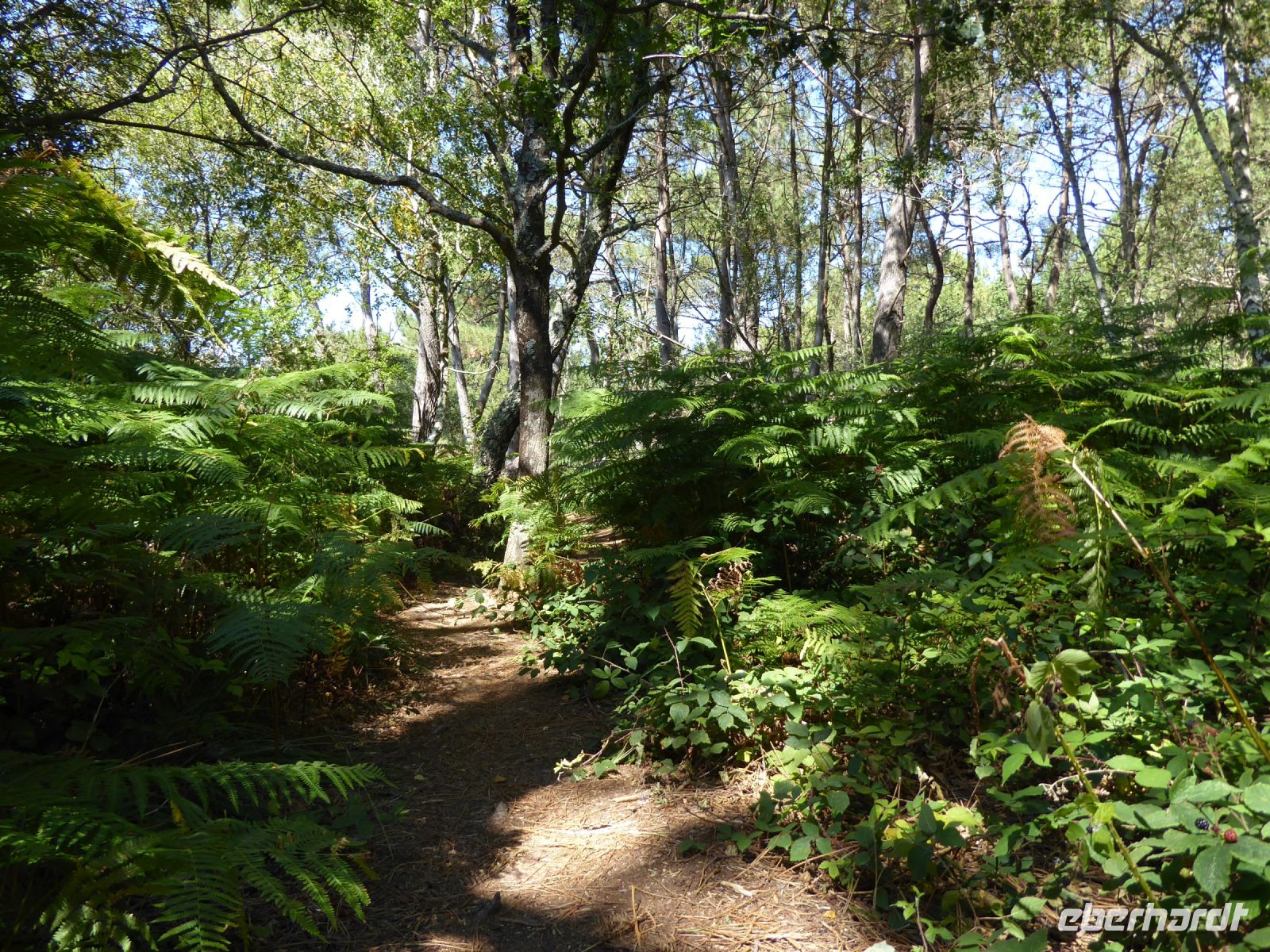 Tag 4 09.08.2022 Wanderung nach Erdeven &ndash; &copy; Gabriele Sauer (Eberhardt TRAVEL)