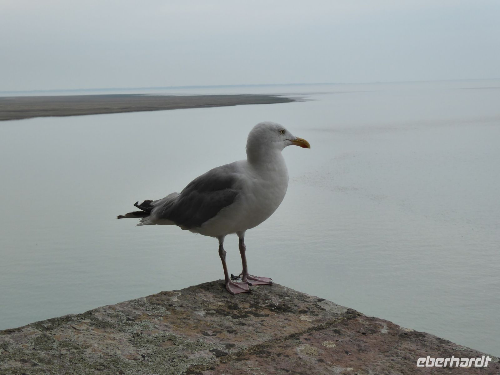 Tag 9 14.08.2022 Mont St. Michel   &ndash; &copy; Gabriele Sauer (Eberhardt TRAVEL)