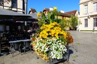 Tag 2 07.08.2022 Troyes  &ndash; &copy; Gabriele Sauer (Eberhardt TRAVEL)