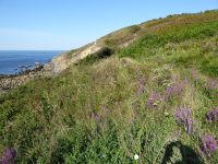 Tag 6 12.08.2022 Küstenwanderung zur Pointe du Raz &ndash; &copy; Gabriele Sauer (Eberhardt TRAVEL)