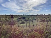 Camargue &ndash; &copy; Roswitha Zytowski (Eberhardt TRAVEL)