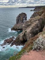 Cap Fréhel &ndash; &copy; Adrien Wifek (Eberhardt TRAVEL)