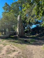 Menhire in Carnac