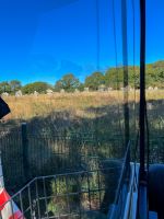 Menhire in Carnac &ndash; &copy; Adrien Wifek (Eberhardt TRAVEL)