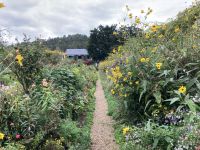 Giverny  &ndash; &copy; Roswitha Zytowski (Eberhardt TRAVEL)