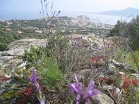 Blick auf Calvi &ndash; &copy; Jürgen Schmeißer (Eberhardt TRAVEL)