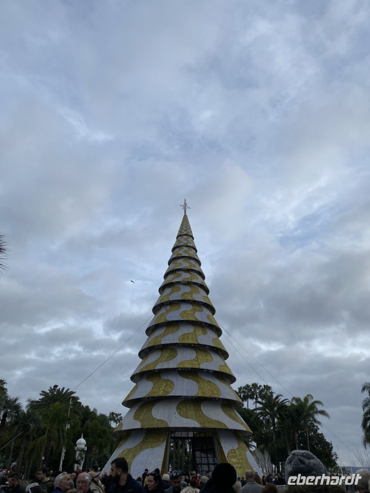 Weihnachtsbaum im Cannes .JPEG &ndash; &copy; Anne Fohlert (Eberhardt TRAVEL)