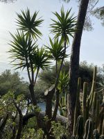 Bepflanzung im Parcours Princess Grace .JPEG &ndash; &copy; Anne Fohlert (Eberhardt TRAVEL)