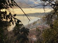 Blick auf die Promenade Nizzas.JPEG &ndash; &copy; Anne Fohlert (Eberhardt TRAVEL)