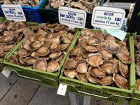 13-05-10_Markt Concarneau &ndash; &copy; Birgit Janosch (Eberhardt TRAVEL)