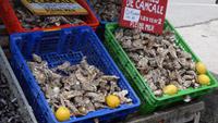 07-13_Austernmarkt.JPG &ndash; &copy; Birgit Janosch (Eberhardt TRAVEL)